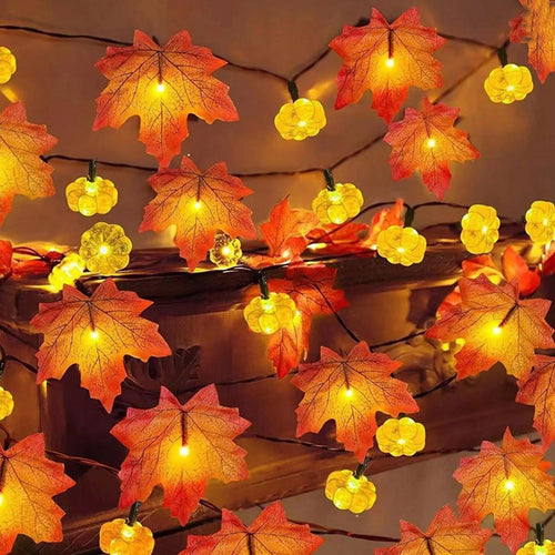 Autumn Glow String Lights